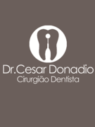 Cesar Augusto Bertini Donadio